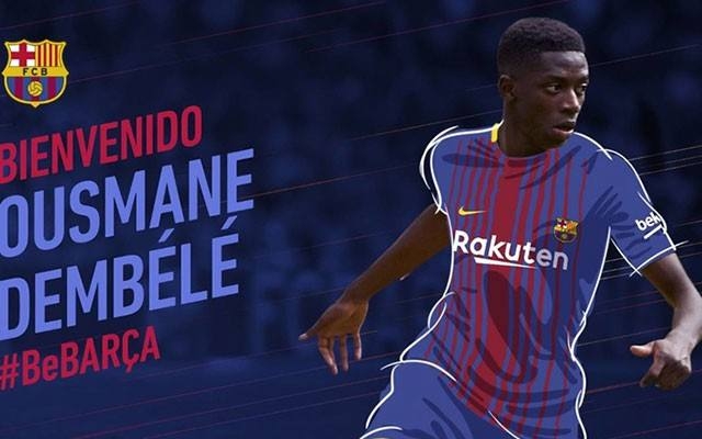 要点提炼 要点提炼