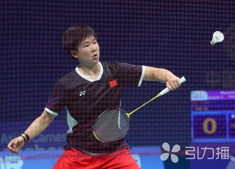 总结性观点 总结性观点